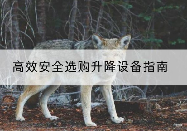 临沂升降货梯厂家推荐-*安全选购升降设备指南