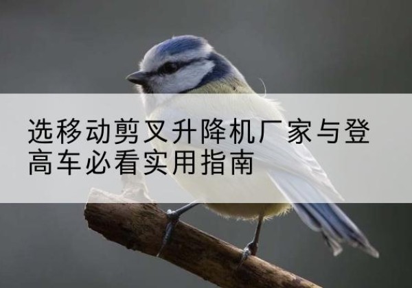 临沂电动升降机厂家-选移动剪叉升降机厂家与登高车必看实用指南
